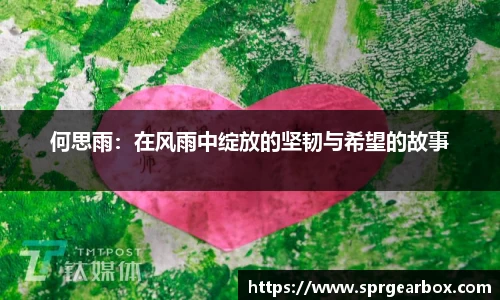 BB贝博艾佛森