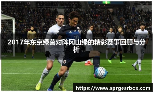 2017年东京绿茵对阵冈山绿的精彩赛事回顾与分析